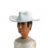 Sombrero Llanero solitario