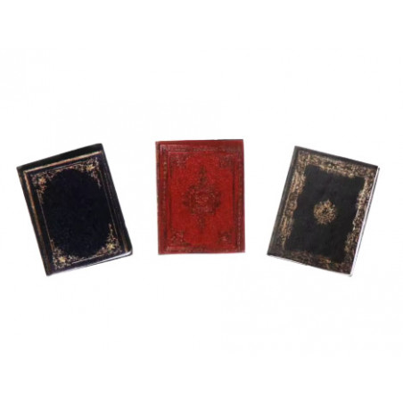 copy of Mini libros para dioramas (4 uds)