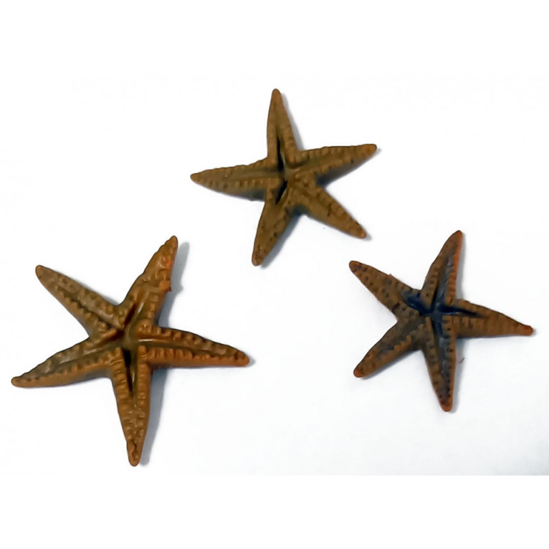 Estrellas de mar (SLA)