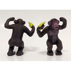 Chimpancé